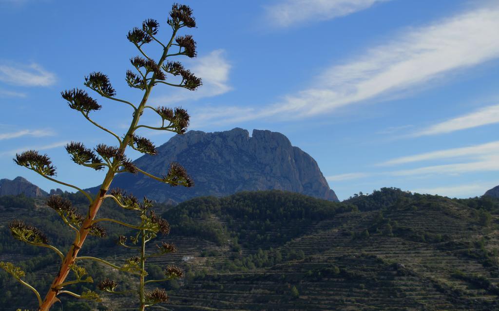 Alojamientos Turisticos Isa I Toni Sella Dış mekan fotoğraf